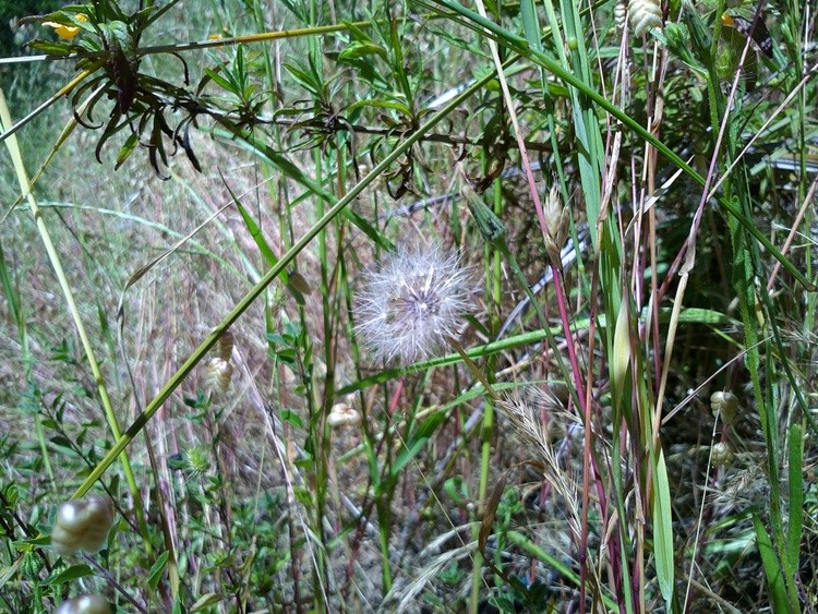 DSCF0095