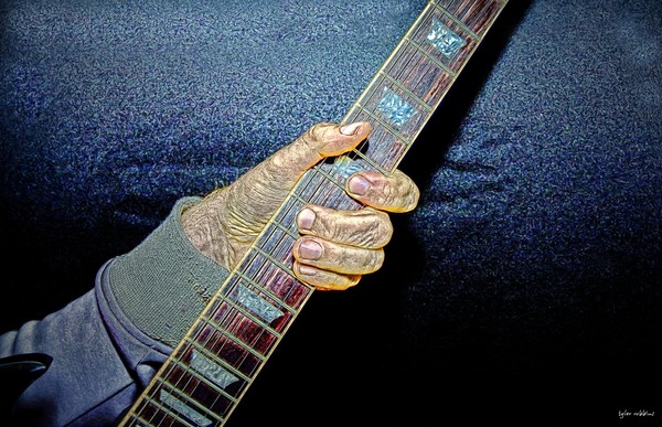 The Guitarist