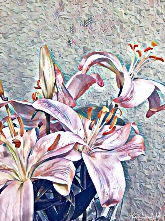 Flowers for the Liar