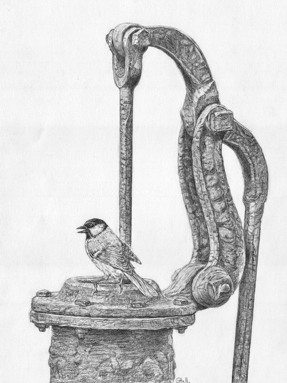 Rustic Perch