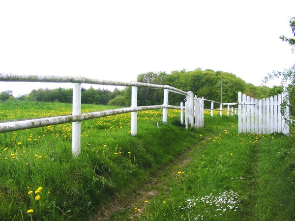 White Gate