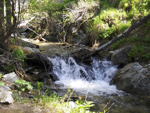 Little Waterfall in the Italianos