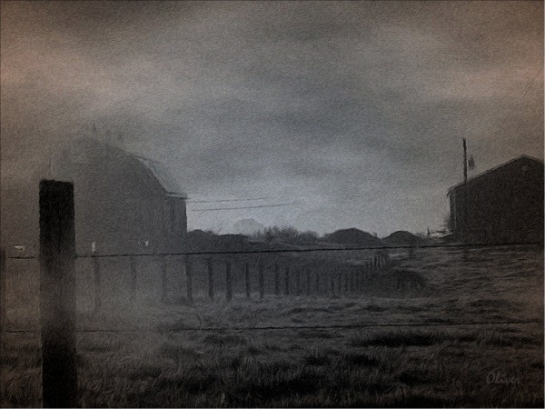 Misty Light