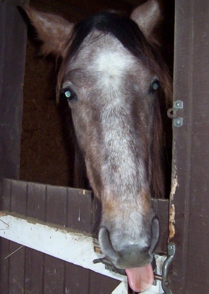 lou