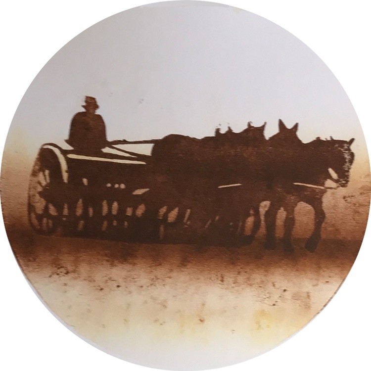 Misty Morning Drilling