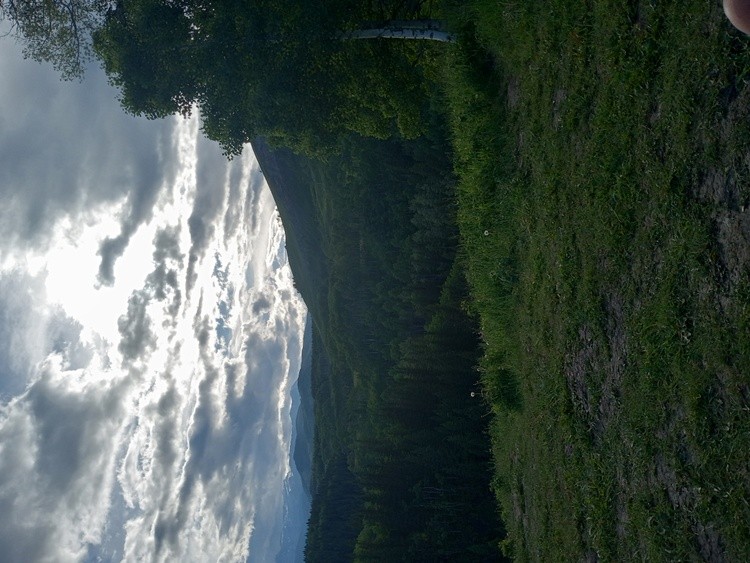 IMG 20240630 193944867 HDR