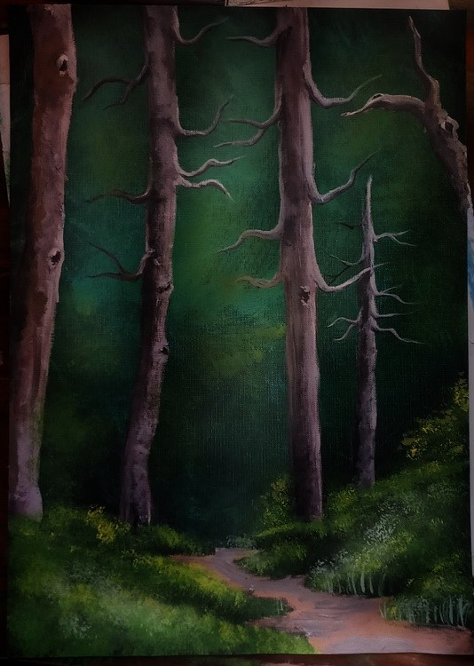 Silent Forest Way