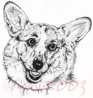 Welsh Corgi