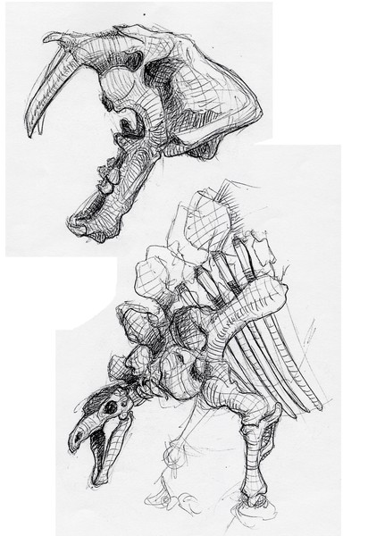 fossils