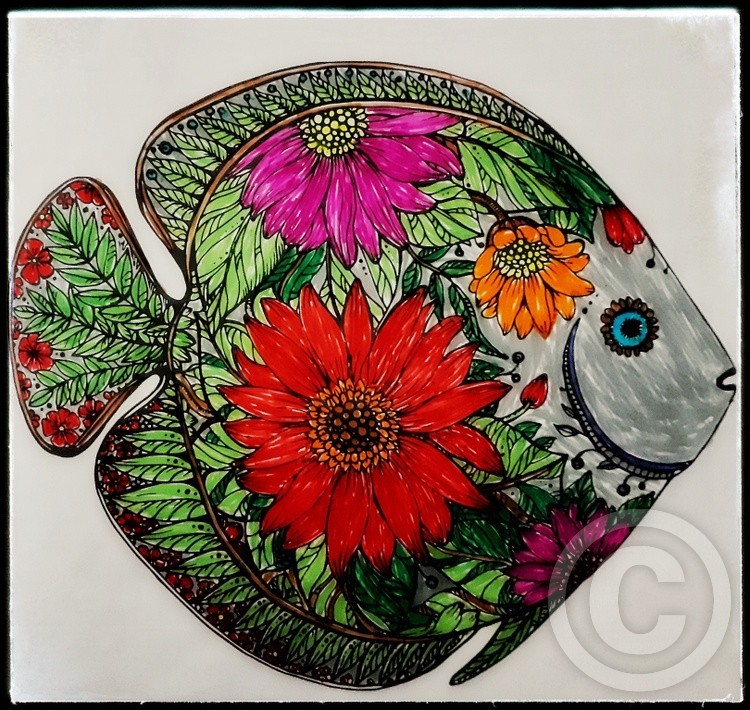 The colourful fish