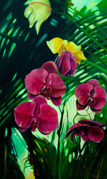 Orchids