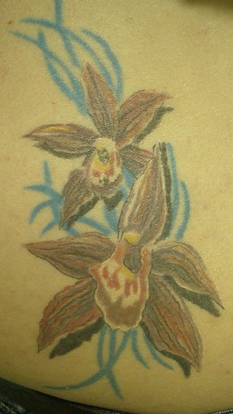 Orchid Tattoo