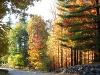 Slide show of Cross Creek Parkway