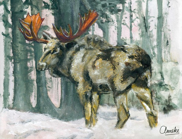Mr. Mooseman