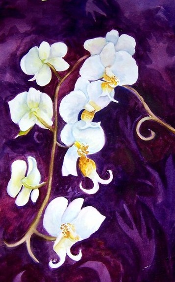White Orchid