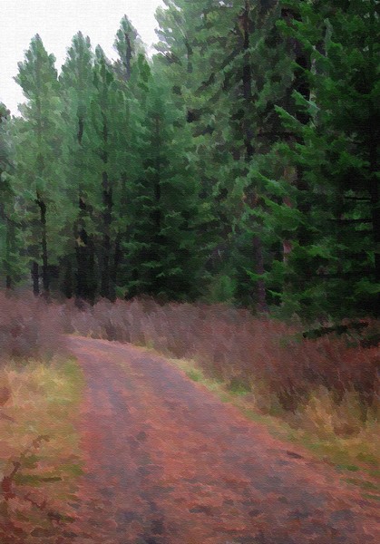 Northwest Trail