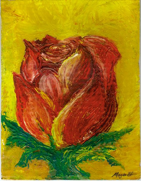 Red Rose