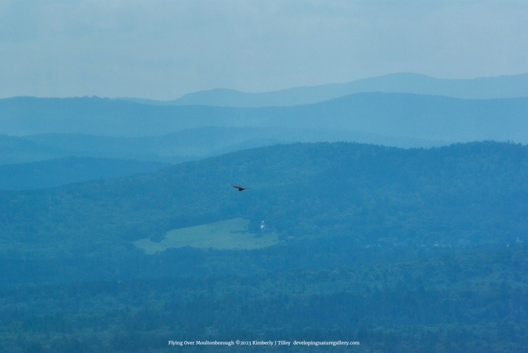 Flying Over Moultonborough