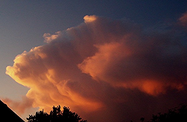fish clouds