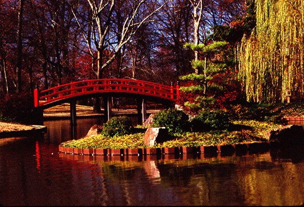 A BRIDGE OVER