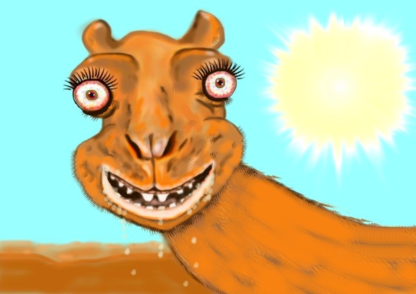 Sunstroked Camel 2