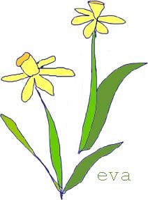 daffoldils