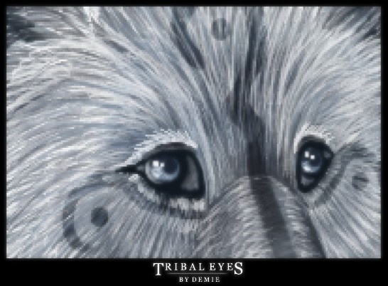Tribal Eyes