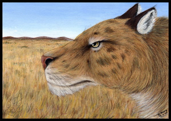 Tritemnodon Aglis