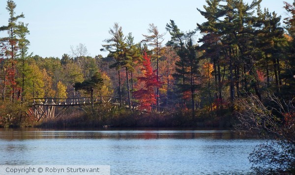 Old Foot Bridge