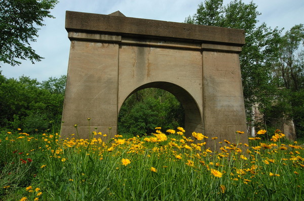 Arch in the Meadow