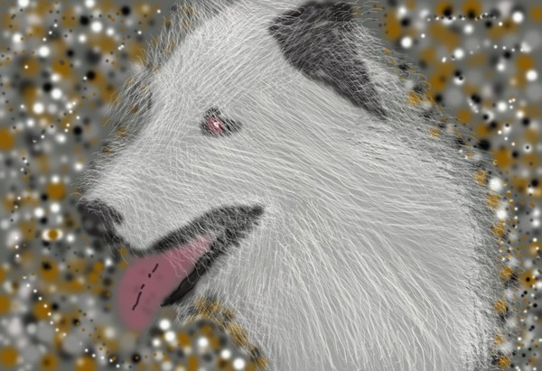 White Dog 1