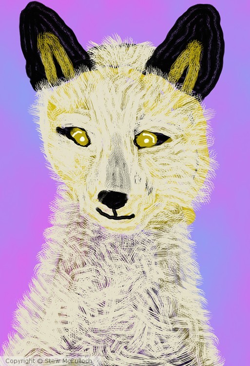 Hairy Fox  P172
