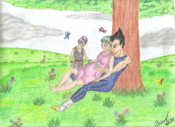Vegeta, Bulma, Trunks,and One On The Way