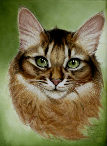 Emerald Hypnotist