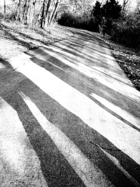 Shadows