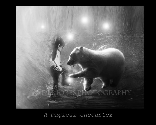 A magical encounter