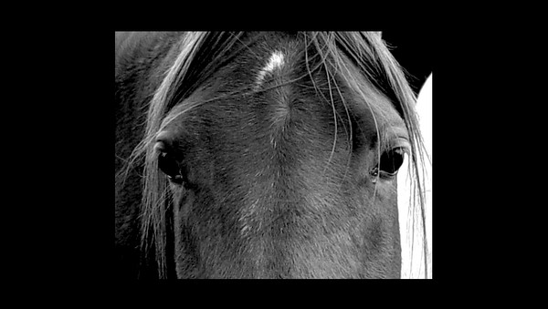 window to the soul