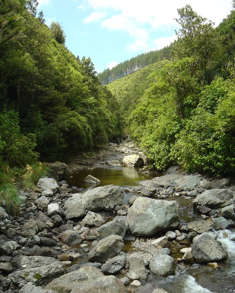 Kahuterawa Stream