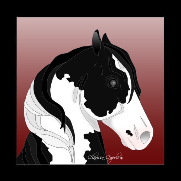 Gypsy Vanner Horse #7