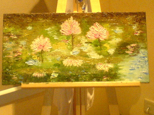 Water lilies