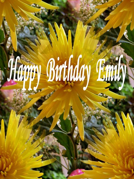 Happy Birthday Emily