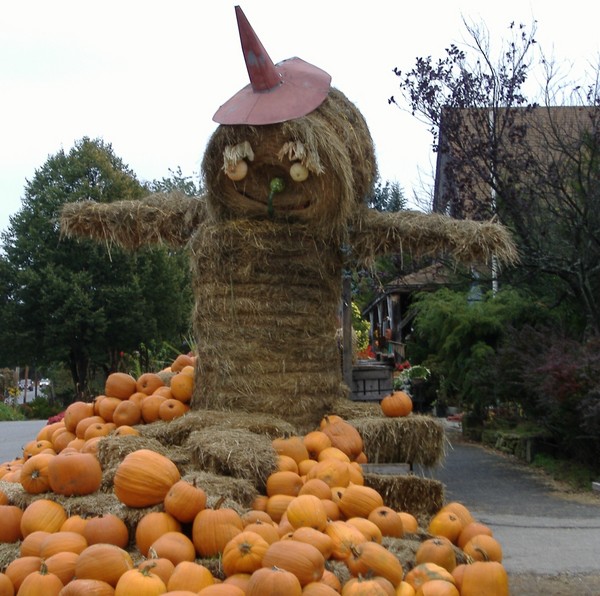Strawman