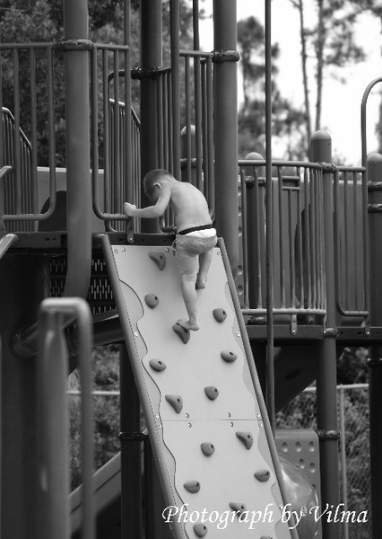 Untitled (Park Series)