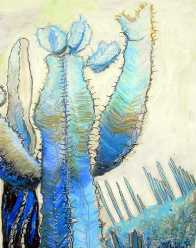 Blue Cactus