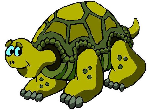 Mr. Turtle