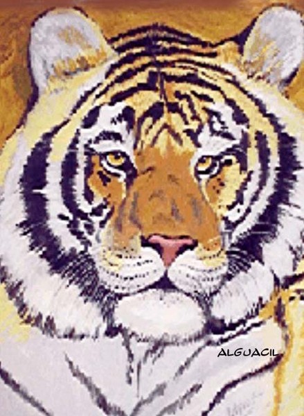 Siberian tiger