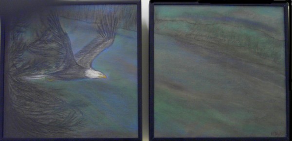 An Eagles Journey
