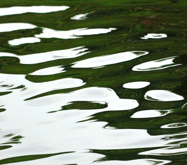 Water Ripples IV