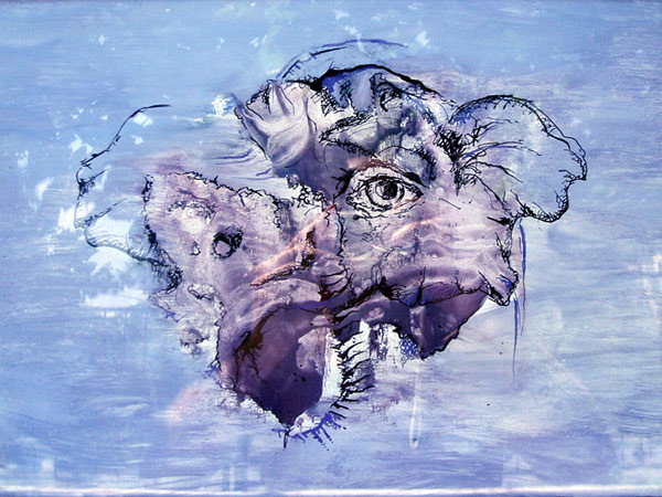 little blues