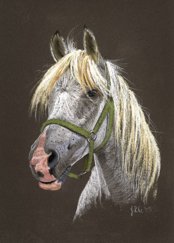 Original Percheron Draft Horse pastel painting